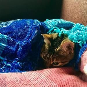 Meet your Posher, Marcia